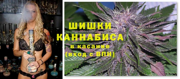 гидропоника Карталы