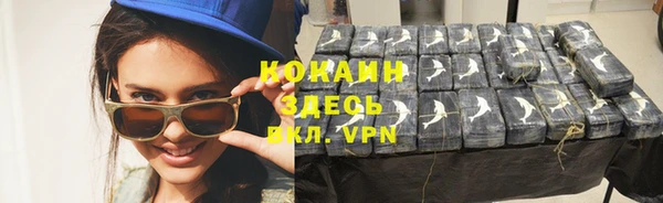 дурь Карпинск