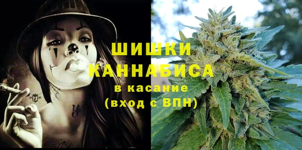 дурь Карпинск