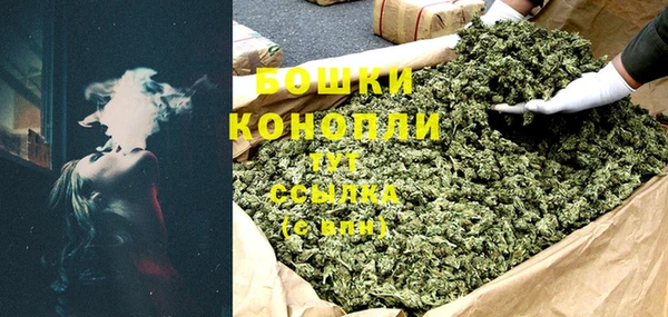 дурь Карпинск