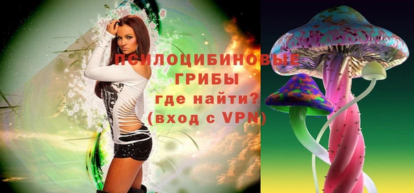 мет Касимов