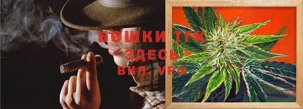 гидропоника Карталы