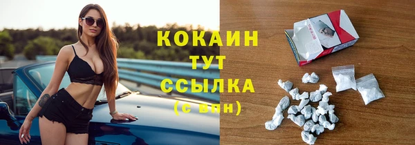 мет Касимов